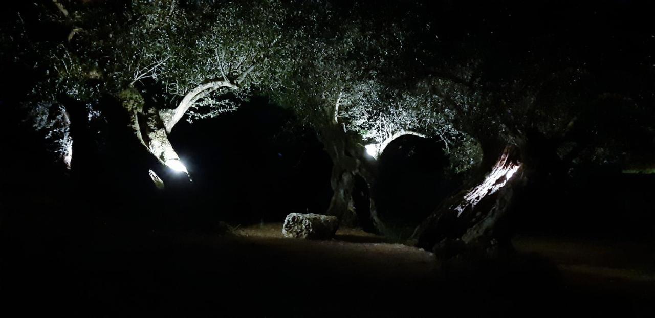 Appartamento Il Veliero Fiskardo Esterno foto
