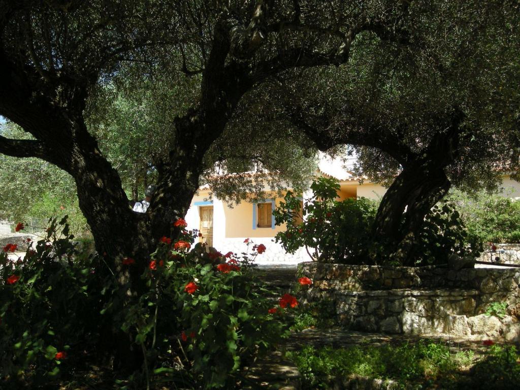 Appartamento Il Veliero Fiskardo Esterno foto